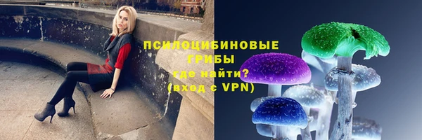 mdpv Заводоуковск