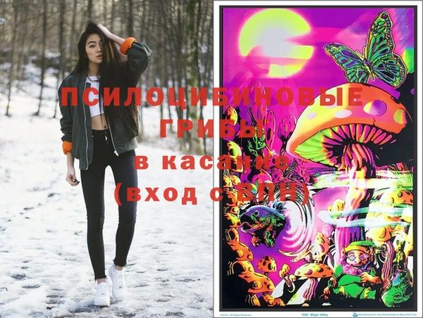 прущие крисы Елабуга